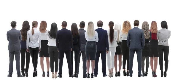 Back view group of business people. Rear view. Isolated over white background. Stock Picture