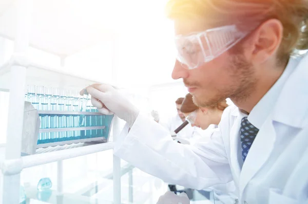 Side view of focused scientist holding test tube in laboratory — Stock Photo, Image
