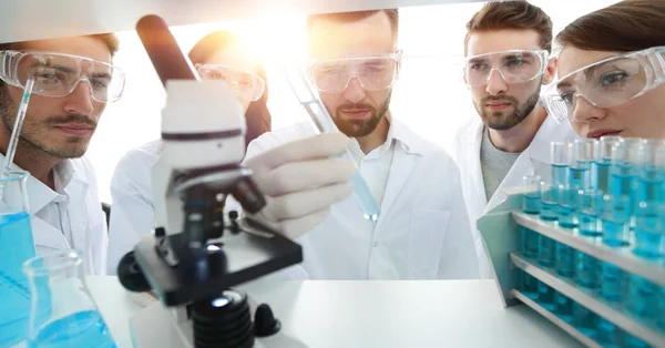 Grupo de farmacéuticos que trabajan en el laboratorio . — Foto de Stock