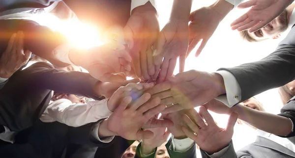 Grande equipe de negócios está formando um círculo e suas mãos apertadas para — Fotografia de Stock