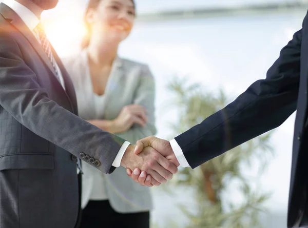 握手をする二人のビジネスマン — ストック写真