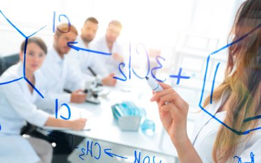 Kadın bilim adamı meslektaşlarına rapor veriyor.