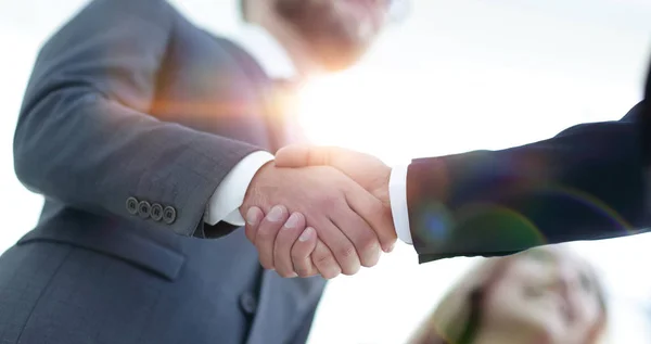 Successful business people handshaking after good deal. — Stock Photo, Image