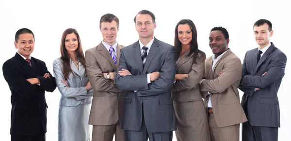 Businessman and professional multinational business team — Stock Photo, Image