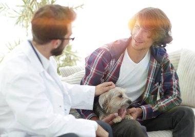 belgili tanımlık Yorkshire korkunç bir muayene veteriner yürütmektedir.