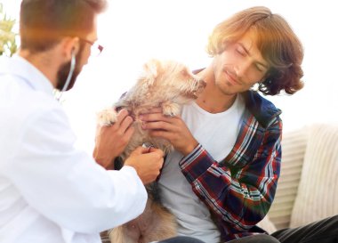 Sevgi dolu sahibi ile bir veteriner ofiste a Yorkshire korkunç