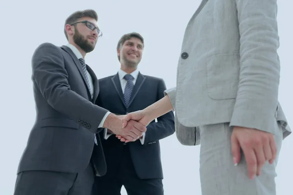 Close-up van zakenmensen die elkaar de hand schudden — Stockfoto