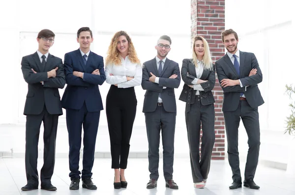 Retrato de un equipo empresarial profesional —  Fotos de Stock