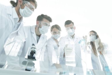 bilim adamları test tüpleri ve laboratuar mikroskobu ile çalışma