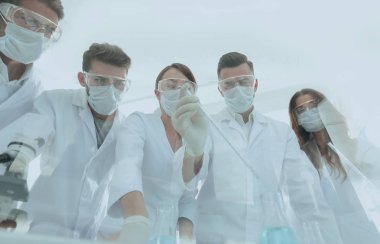 bilim adamları test tüpleri ve laboratuar mikroskobu ile çalışma