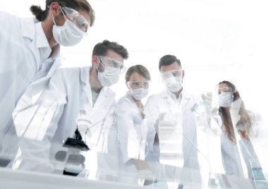 bilim adamları test tüpleri ve laboratuar mikroskobu ile çalışma