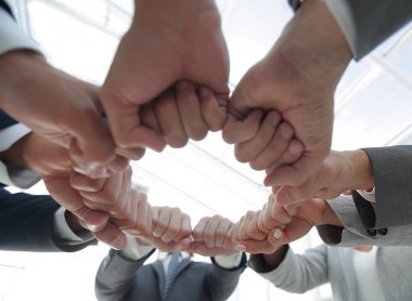 Bir grup insan el ele verdi.