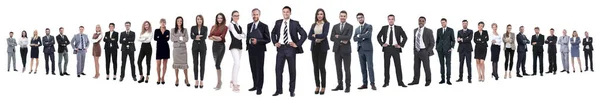 Panoramic photo of a professional numerous business team — Stock Photo, Image