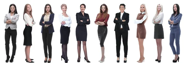 Panoramic collage of a group of successful young business women. — Stock Photo, Image