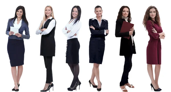 Colección de retratos completos de mujeres jóvenes de negocios — Foto de Stock