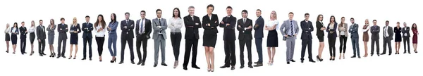 Панорамное фото группы уверенных в себе деловых людей. — стоковое фото