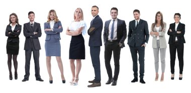 Profesyonel iş ekibi beyazları izole etti.