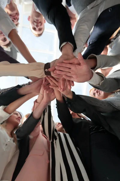 Grupo de jóvenes diversos que doblan sus manos en un círculo — Foto de Stock