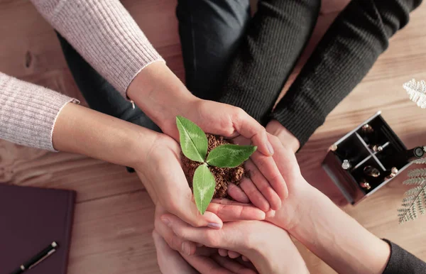 Nachhaltige grüne Unternehmen vertrauen ökologischen Partnern. — Stockfoto