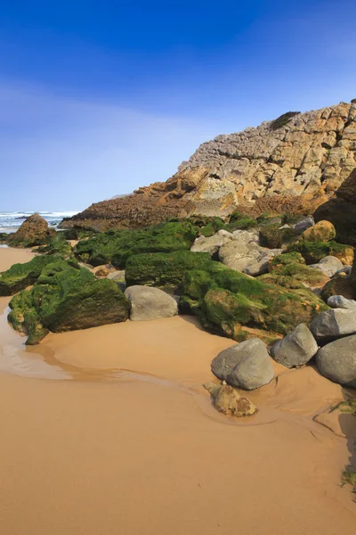 Groene stenen aan de kust — Stockfoto