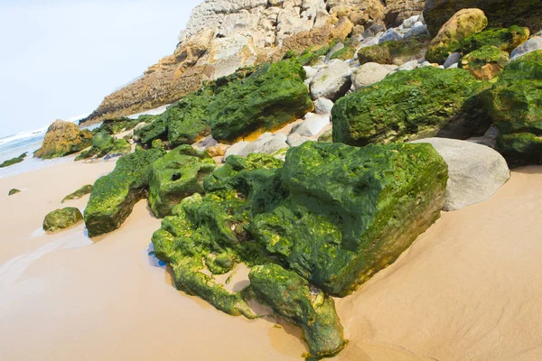 Piedras verdes en la orilla del mar —  Fotos de Stock