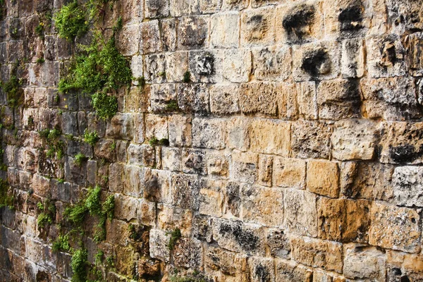 Sfondo muro di pietra con un sacco di texture — Foto Stock