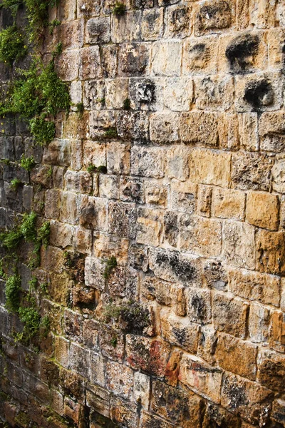 Steinmauer Hintergrund mit viel Textur — Stockfoto