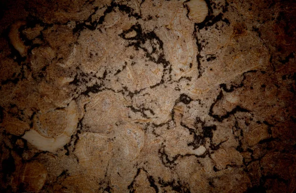 Fundo de parede de pedra Vignetted com muita textura — Fotografia de Stock