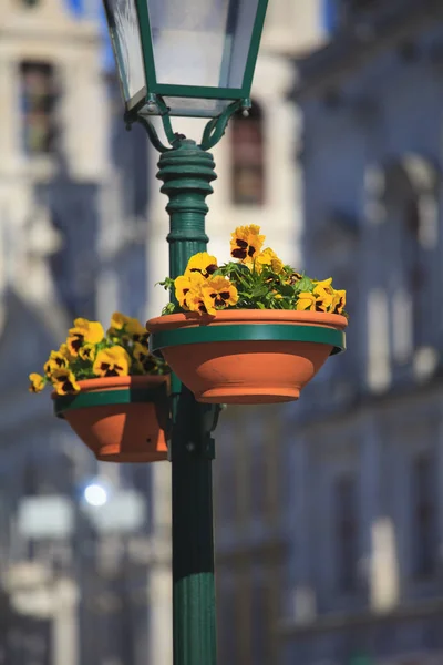 Типичная металлическая уличная лампа в Мафре (Португалия) ) — стоковое фото