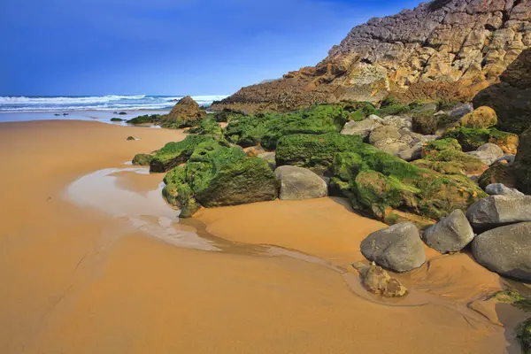 Groene stenen aan de kust — Stockfoto