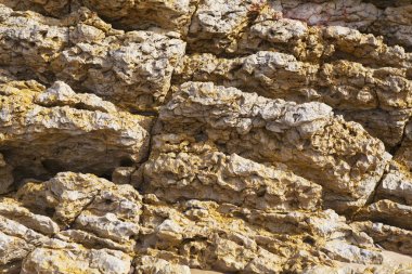 Deniz taş renkli doku