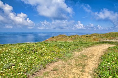 Dağlarda kırsal yol gider