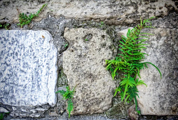 Parte di un muro di pietra. Sfondo o texture — Foto Stock