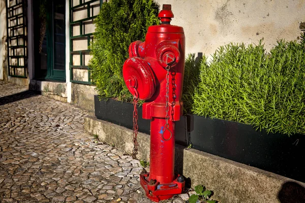 Um hidrante de fogo vermelho close-up em uma rua — Fotografia de Stock