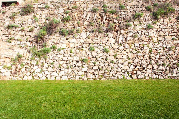 Sfondo di muro di pietra con erba verde — Foto Stock