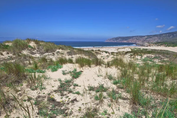 Dunas de arena y paisaje de playa en el soleado día de verano — Foto de Stock