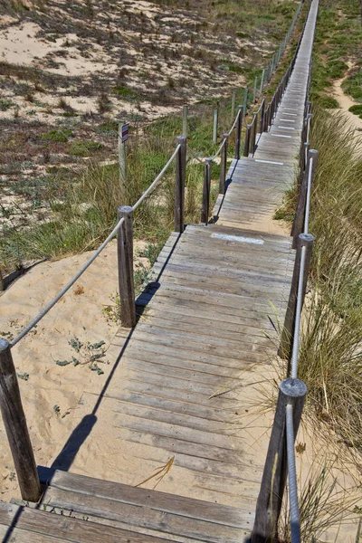 ahşap tahta yol yol kumlu plaj