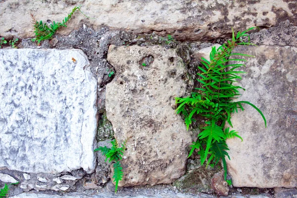 Teil einer Steinmauer. Hintergrund oder Textur — Stockfoto