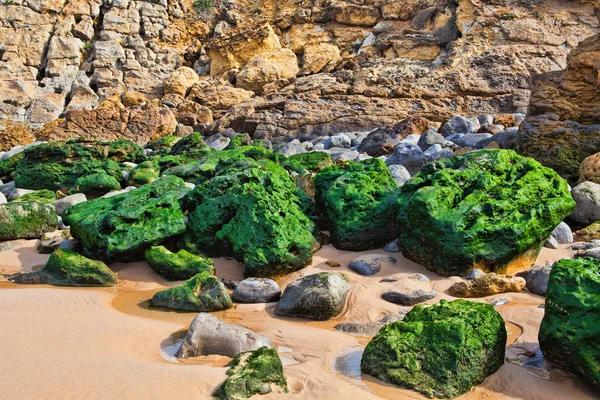 Πράσινες πέτρες στην παραλία — Φωτογραφία Αρχείου