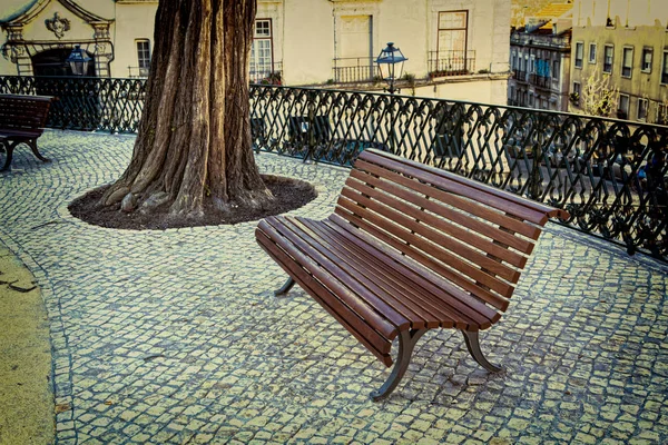 Parkta yalnız ahşap bir bank.