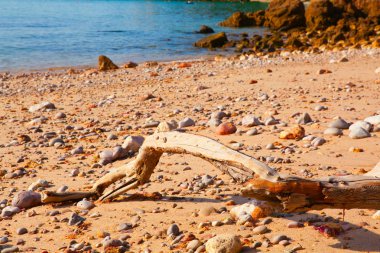 Parque doğal da Arrabida, Setubal Yarımadası, Port Beach