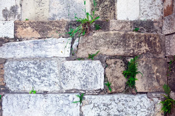 Parte de un muro de piedra. Fondo o textura —  Fotos de Stock