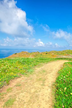 Dağlarda kırsal yol gider