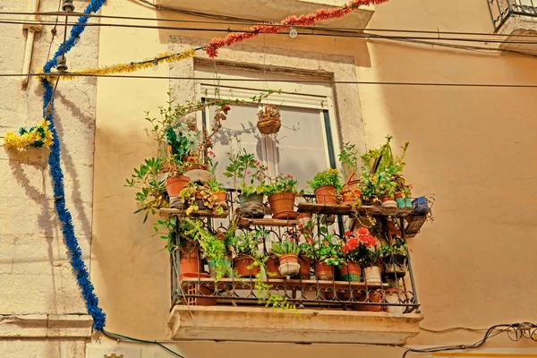 Vecchia finestra e fiori in un edificio storico — Foto Stock