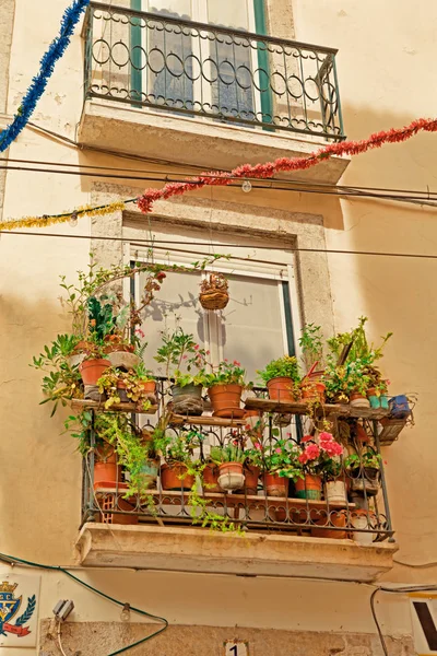 Gamla fönster och blommor på en historisk byggnad — Stockfoto