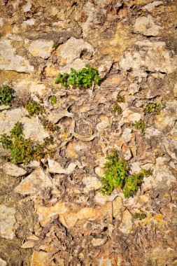 Taştan bir duvar parçası. Arka plan veya doku