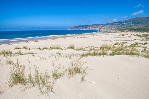 Песчаные дюны и пляжный пейзаж в солнечный летний день — стоковое фото