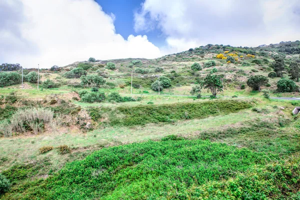 En vild lanscape grönt gräs och mulen himmel — Stockfoto