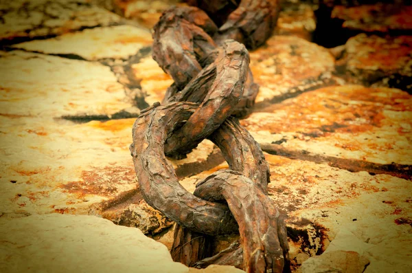 Anchor chain of a vessel on a mooring selective focus — Stock Photo, Image