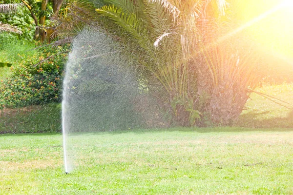 Sistema de rociadores que riega el césped. Día soleado de verano —  Fotos de Stock